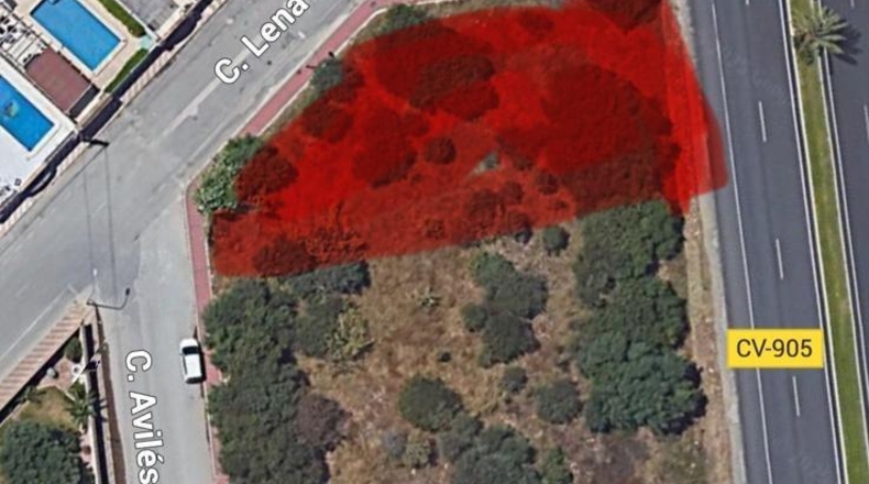 Alicante - Torrevieja - 800m2