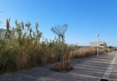 Городская земля под застройку на продажу у города Salou Фото