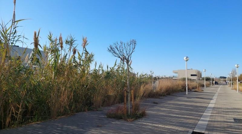 Tarragona - Salou - 599m2