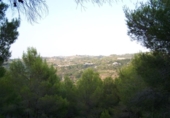 Terreno no urbanizable en venta en la España, Benissa, ref: TR315369 foto