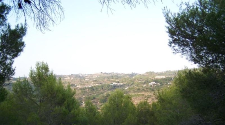 Аликанте - Benisa - 22000m2