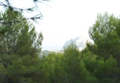 Terreno no urbanizable en venta en la España, Benissa, ref: TR315369 foto