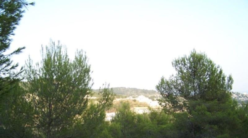 Аликанте - Benisa - 22000m2