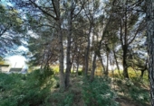 Terreno no urbanizable en venta en la España, Calpe, ref: TR312547 foto