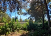 Terreno no urbanizable en venta en la España, Calpe, ref: TR312547 foto