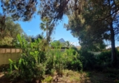 Terreno no urbanizable en venta en la España, Calpe, ref: TR312547 foto