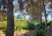 Terreno no urbanizable en venta en la España, Calpe, ref: TR312547 foto