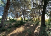 Terreno no urbanizable en venta en la España, Calpe, ref: TR312547 foto