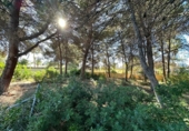 Terreno no urbanizable en venta en la España, Calpe, ref: TR312547 foto