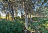 Terreno no urbanizable en venta en la España, Calpe, ref: TR312547 foto