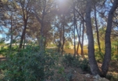 Terreno no urbanizable en venta en la España, Calpe, ref: TR312547 foto
