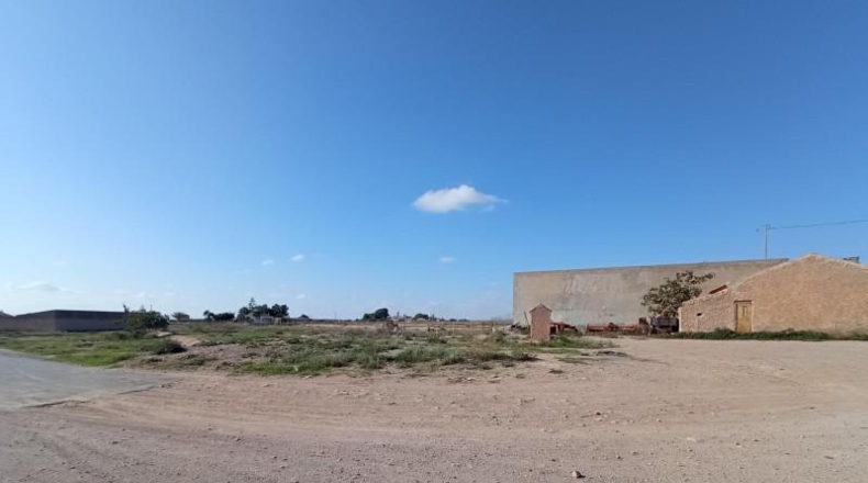 Murcia - Múrcia - 4000m2