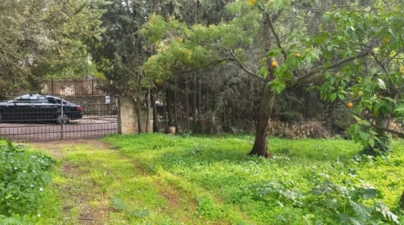 Córdoba - Córdoba - 3000m2