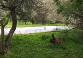 Sòl urbà en venda a la España, Còrdova, ref.: TR117779 foto