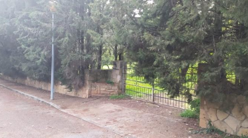 Córdoba - Córdoba - 3000m2