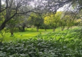 Sòl urbà en venda a la España, Còrdova, ref.: TR117779 foto