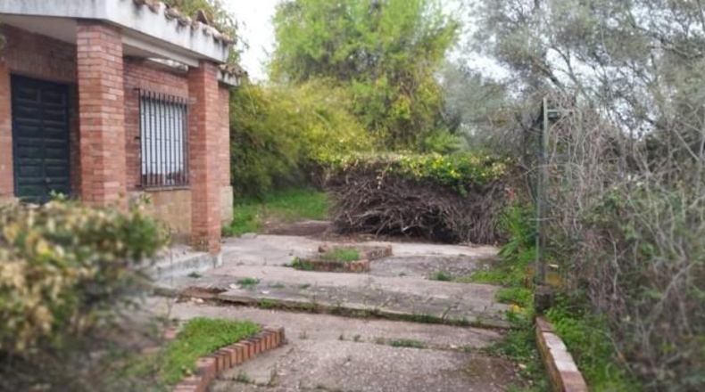 Córdoba - Córdoba - 3000m2