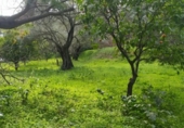 Sòl urbà en venda a la España, Còrdova, ref.: TR117779 foto
