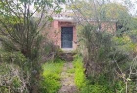 Foto 12