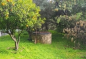 Sòl urbà en venda a la España, Còrdova, ref.: TR117779 foto