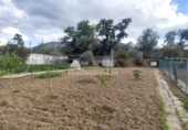Xalet independent amb terreny en venda a la España, La Guardia de Jaén, ref.: TR242146 foto
