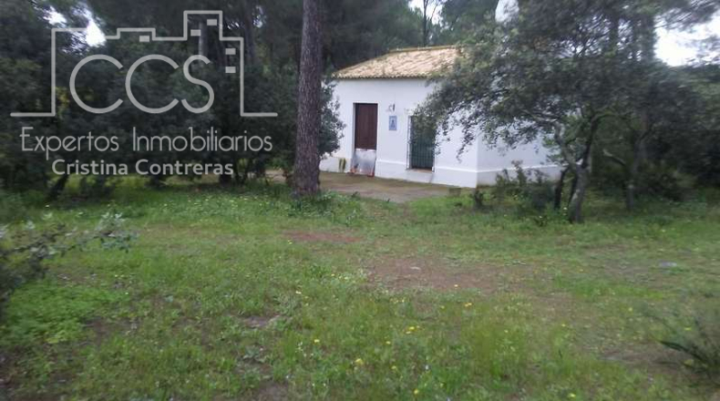 Huelva - Almonte - 25000m2