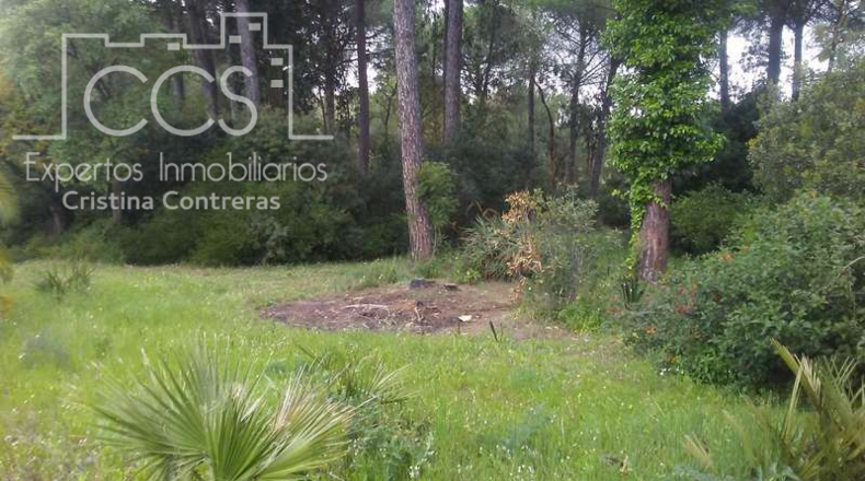 Huelva - Almonte - 25000m2