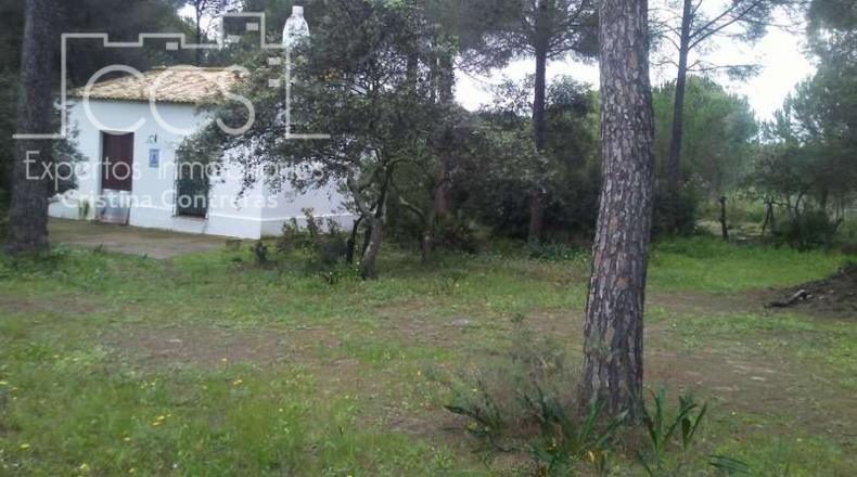 Huelva - Almonte - 25000m2