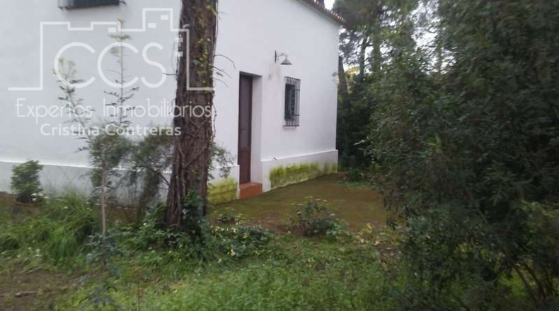 Huelva - Almonte - 25000m2