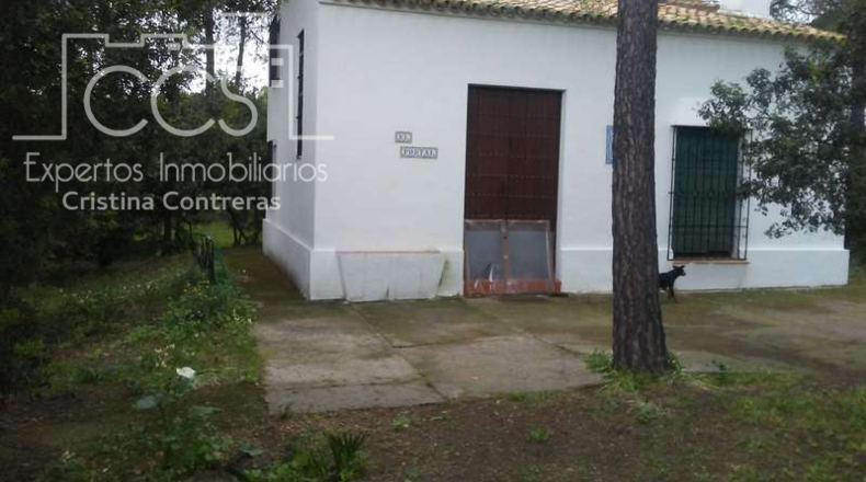 Huelva - Almonte - 25000m2