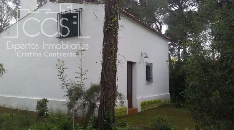 Huelva - Almonte - 25000m2