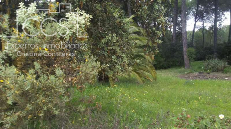 Huelva - Almonte - 25000m2