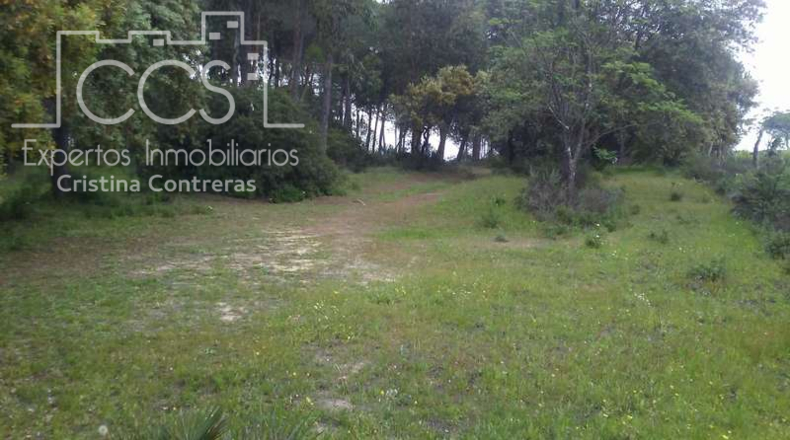 Huelva - Almonte - 25000m2