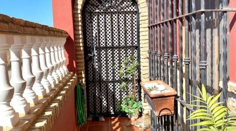 Murcia - Alguazas - 160m2
