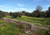 Terreno no urbanizable en venta en la España, Dénia, ref: TR312369 foto