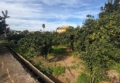 Terreno no urbanizable en venta en la España, Dénia, ref: TR312369 foto