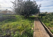Terreno no urbanizable en venta en la España, Dénia, ref: TR312369 foto