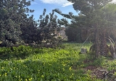 Terreno no urbanizable en venta en la España, Dénia, ref: TR312369 foto