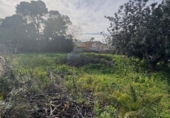 Terreno no urbanizable en venta en la España, Dénia, ref: TR312369 foto