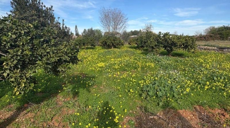 Alicante - Denia - 4000m2
