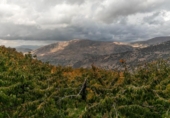 Non-developable land for sale on España, Güéjar Sierra, ref: TR236377 photo
