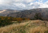 Non-developable land for sale on España, Güéjar Sierra, ref: TR236377 photo