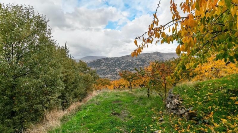 Granada - Güéjar Sierra - 44063m2