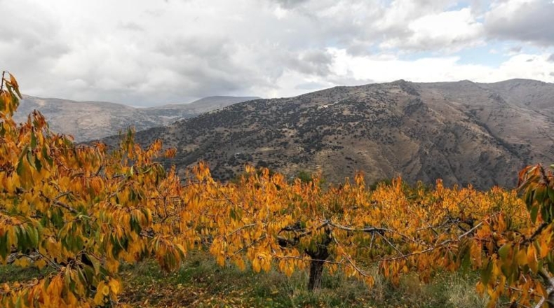 Granada - Güéjar Sierra - 44063m2