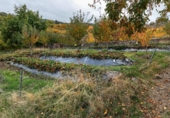 Non-developable land for sale on España, Güéjar Sierra, ref: TR236377 photo