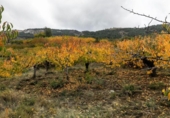 Non-developable land for sale on España, Güéjar Sierra, ref: TR236377 photo