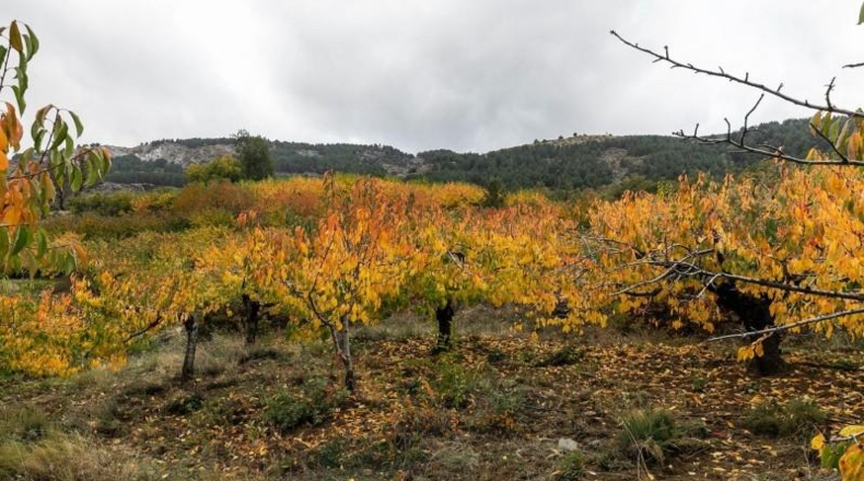Granada - Güéjar Sierra - 44063m2