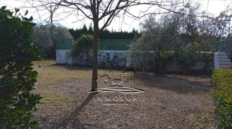 Córdoba - Lucena - 5000m2
