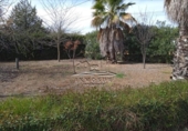Chalet independiente con terreno en venta en la España, Lucena, ref: TR194531 foto