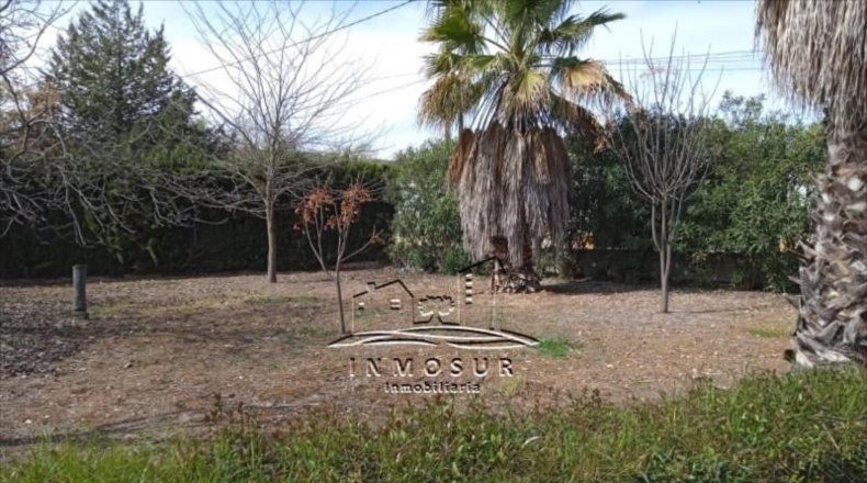 Córdoba - Lucena - 5000m2